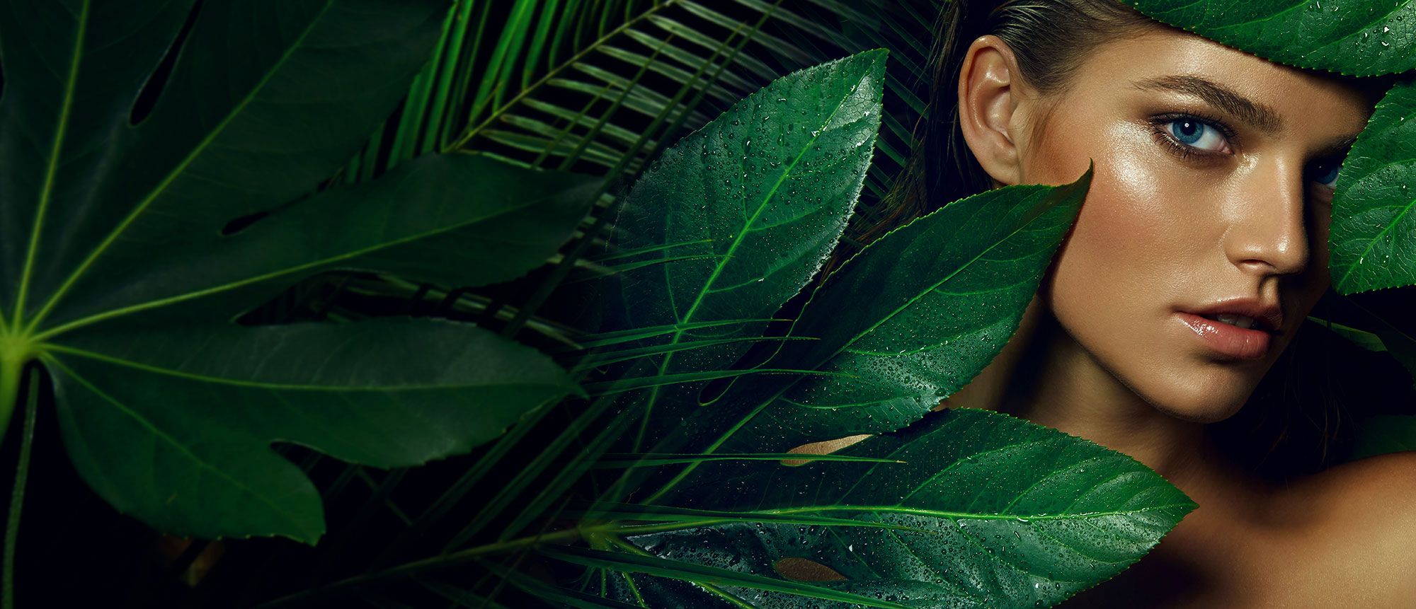 sophie-beauty-header.jpeg